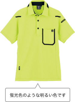 イエローグリーン(84)