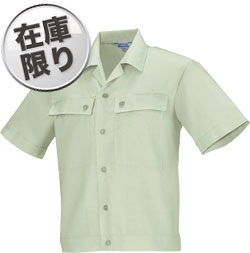 モスグリーン(61)