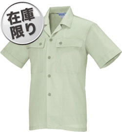 モスグリーン(61)