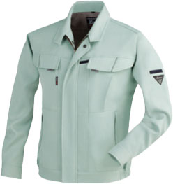 モスグリーン(61)