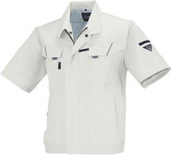 シルバーグレー(22)