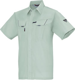 モスグリーン(61)