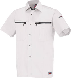 シルバーグレー(22)