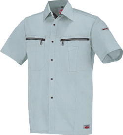 ミストグリーン(605)