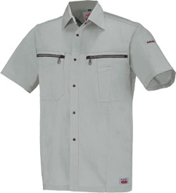 モスグリーン(61)