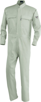 モスグリーン(61)