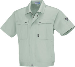 モスグリーン(61)