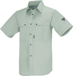 モスグリーン(61)