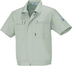 モスグリーン(61)