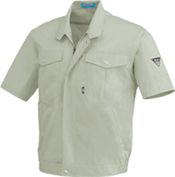 モスグリーン(61)