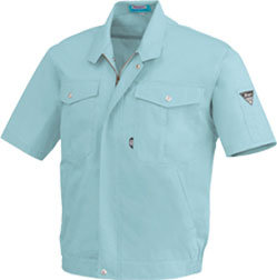 ミントグリーン(67)