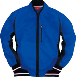 ロイヤルブルー(42)