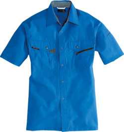 ロイヤルブルー(42)