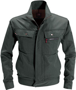 ストームグレー(53)