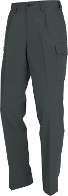 ストームグレー(53)