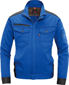 ロイヤルブルー(42)