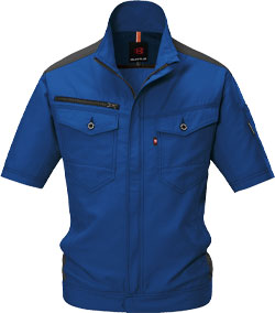 ロイヤルブルー(42)