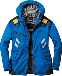 ロイヤルブルー(42)