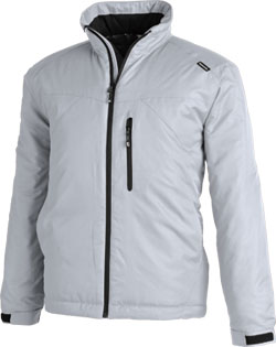 シルバーグレー(25)