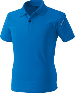 ロイヤルブルー(41)