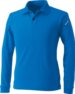 ロイヤルブルー(41)