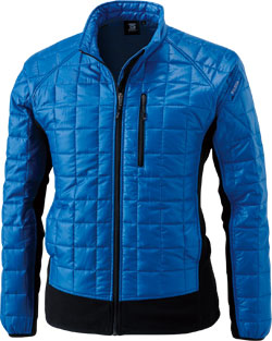 ロイヤルブルー(41)