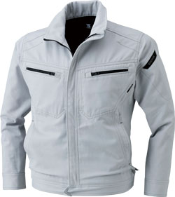 シルバーグレー(25)