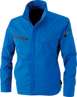 ロイヤルブルー(41)