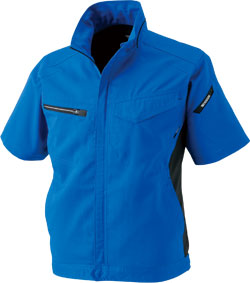 ロイヤルブルー(41)