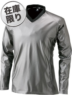 メタリックシルバー(25)