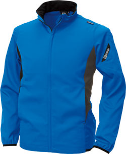 ロイヤルブルー(41)