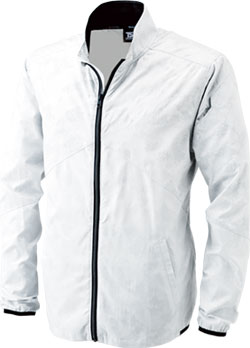 シルバーグレー(25)