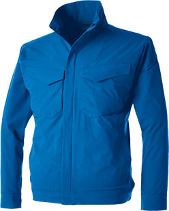 ロイヤルブルー(41)