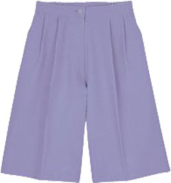 バイオレット(22)