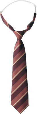 エンジストライプ(31)