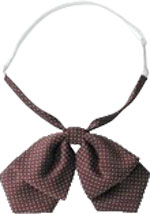 エンジチェック(37)