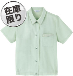 グレッシュグリーン(93)