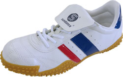 トリコロール(TR)