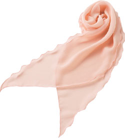 アプリコット(16)