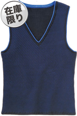 ロイヤルネイビー(11)