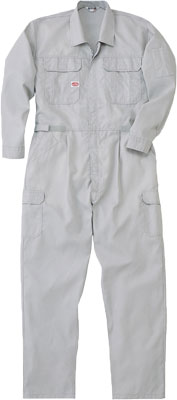 シルバーグレー(SG)