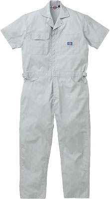 シルバーグレー(SG)