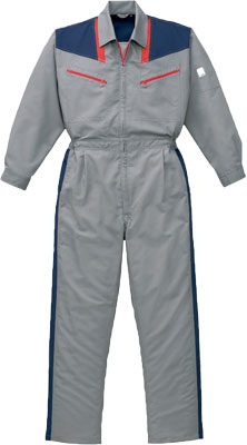 シルバーグレー(SG)