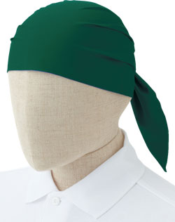 モスグリーン(C62)