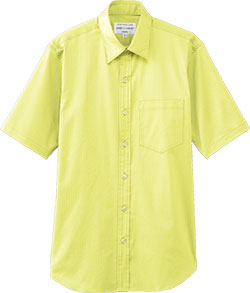 ライトグリーン(C64)