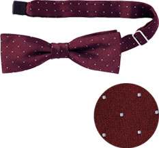 ワインxホワイト(3)