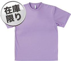ラベンダー(33)