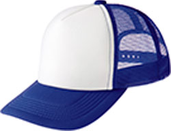 ジャパンブルー×ホワイト(311)