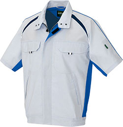 シルバーグレー(003)