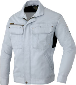 シルバーグレー(003)